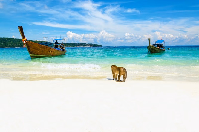 Monkey Beach on the island of Phi Phi Phi, also called Monkey Beach