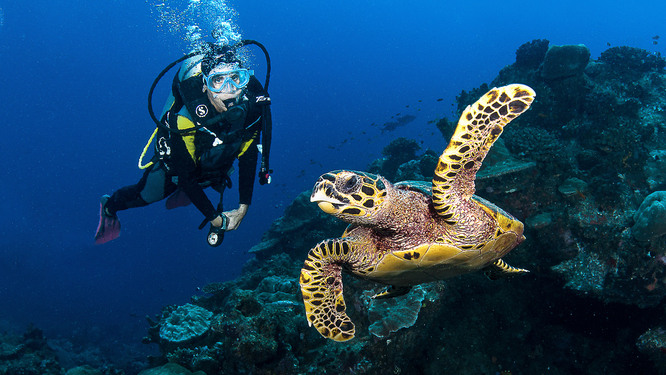 Diving and snorkeling on Hin Bida.