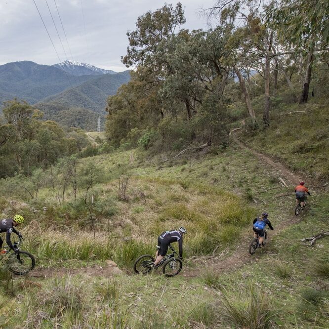 travel  Mountain Biking at M.T Hill : 