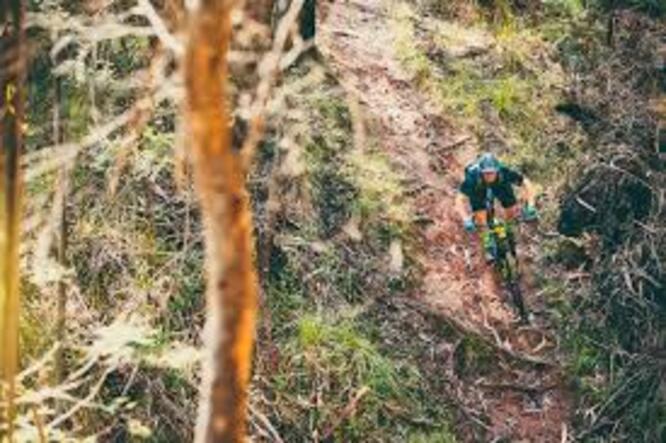 The Best Mountain Bike Trails in Thailand