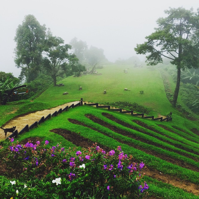 Chiang Mai And Mae Tang Trek