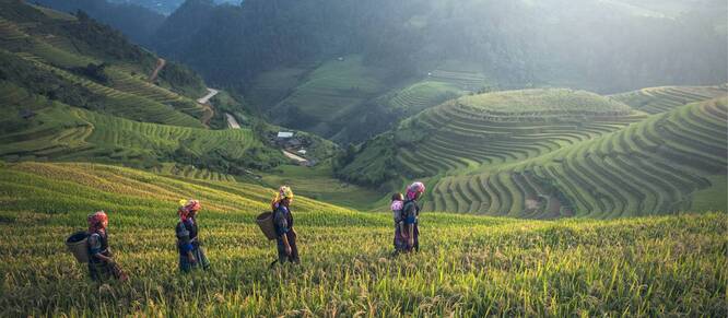 Hiking in the hill tribes of Thailand